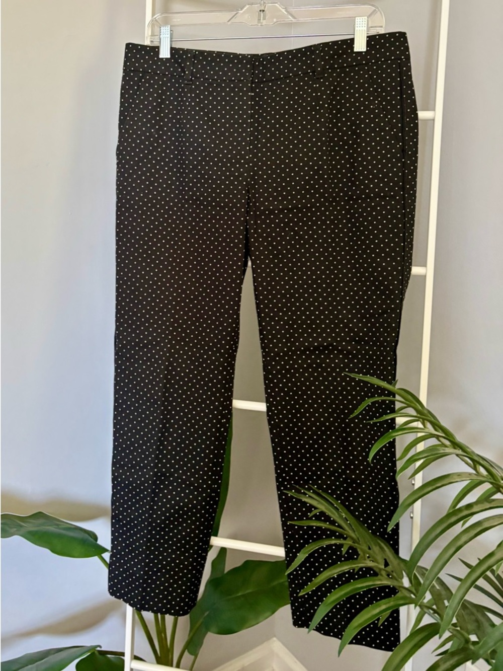 Dolce & Gabbana Black Polka Dot Pants - Picture 16 of 16